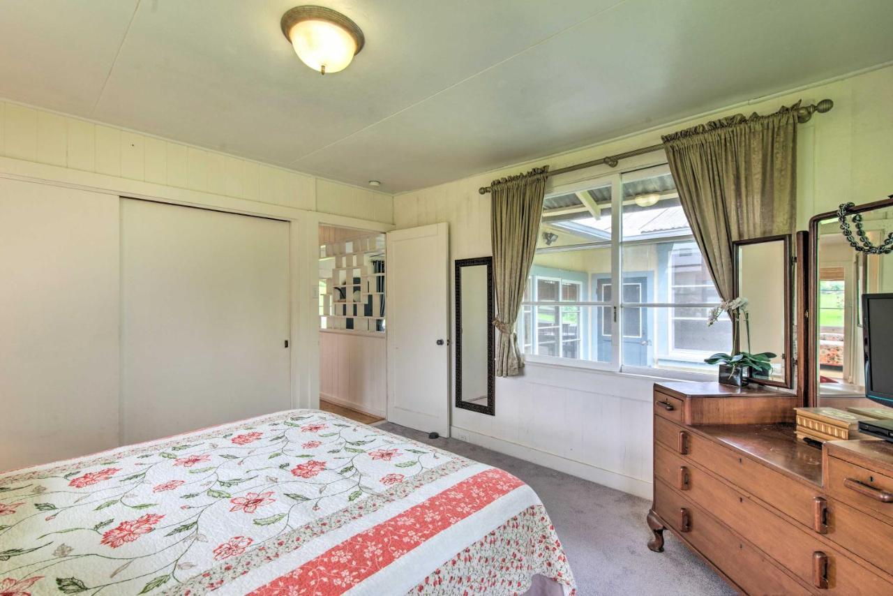 Hilo Home Base - 3 Miles To State Park And Beach! Ngoại thất bức ảnh